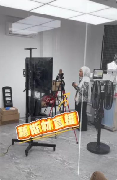公司实力 3